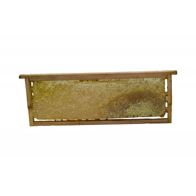 Göle Petek Balı (2000 Gr.)